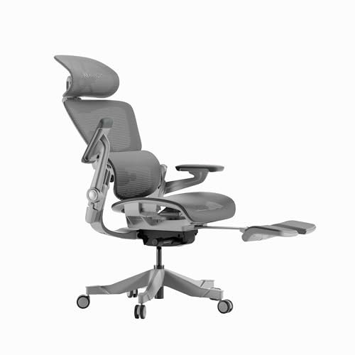 HINOMI H1 Pro V2 High Back Ergonomic Office Chair with 3D Lumbar Support, Built-in Leg Rest for Gaming,suitable as Home Office Chair and Computer Chair (Grey, Standard)