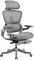 HINOMI H1ProV2 Bürostuhl Ergonomisch, Ergonomischer Bürostuhl mit 3D-Kopfstütze,Bürostuhl mit Fußstütze,Verstellbarer Schreibtischstuhl,Ergonomischer Stuhl für Büro und Studium(Grau,Standardhöhe)
