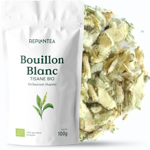 REPLANTEA Infusion de Bouillon Blanc Bio (Molène) 100g | Tisane Herbal pour le Confort Respiratoire et le Soin de la Voix | Feuilles de Verbascum Thapsus en Vrac
