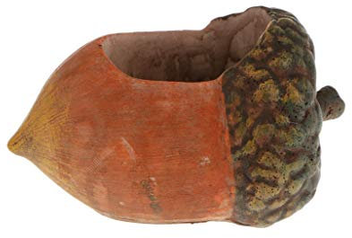 Tubayia Figura de madera de avellano para plantas suculentas, para casa, oficina, balcón, jardín