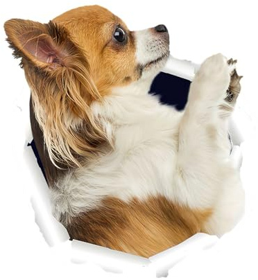 Chihuahua Autoaufkleber, Lustige Hund 3D Durchbruch Aufkleber für Auto, Laptop, Kühlschrank, Wasserdicht Aufkleber (18cm/7.1 Inch)