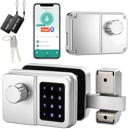 SEPOX Serrure Connectée Bluetooth Porte D’Entrée, Digicode, Clavier Tactile, Tuya, Sans Clé, Style Rétro, Pour Maison Appartement Bureau (Argent, Unité unique)
