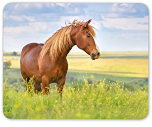 Beautiful Brown Horse Mouse Mat Pad - Equestrian Animal Gift PC Computer #8395