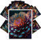 PIXILUV Vintage-Postkarten (je 10,2 x 15,2 cm), fantastische Blumen aus dem Weltraum, Vintage-Illustrationen, Nachdruck, 24 Stück