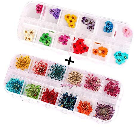 36 Starry plus 36 five flower 3D applique nail stickers nail supplies dried flowers 2 box of 12 color