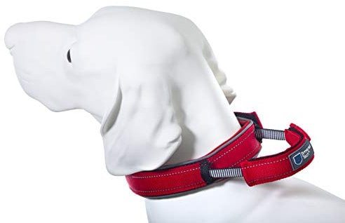 Armored Tech Dog Control Halsband mit integrierter Kurzleine (M - Halsumfang 39-45 cm, rot)
