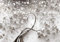 decomonkey Fototapete Blumen Baum 400x280 cm XL Tapete Fototapeten Vlies Tapeten Vliestapete Wandtapete moderne Wandbild Wand Schlafzimmer Wohnzimmer Ornament Abstrakt