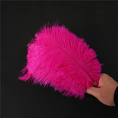 10 Stück 25-30cm Natürliche Straußenfedern,Strauß Feder zum Basteln,Bastel Federn für DIY Traumfänger Zubehör,Heimdekoration,KostüMe,Tischdeko Hochzeit Party Fest Hüte Kleidung Dekoration,Rose