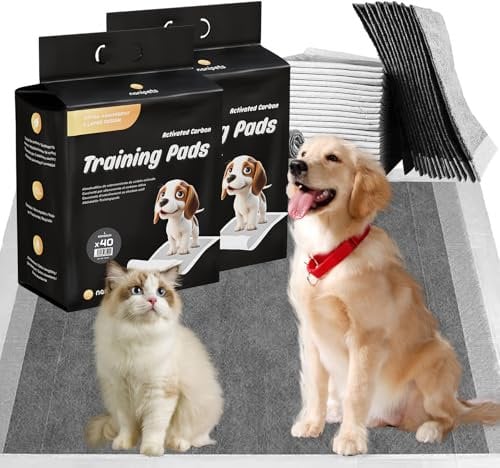 Nanipets® Trainingspad für Hunde Welpenunterlagen, Superabsorbierendes & Auslaufsichere Aktivkohle-Hunde-PIPI-Pads, 60 x 60 cm Extra Große Pet Pads, 80 Stück