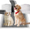 Nanipets® Trainingspad für Hunde Welpenunterlagen, Superabsorbierendes & Auslaufsichere Aktivkohle-Hunde-PIPI-Pads, 60 x 60 cm Extra Große Pet Pads, 80 Stück