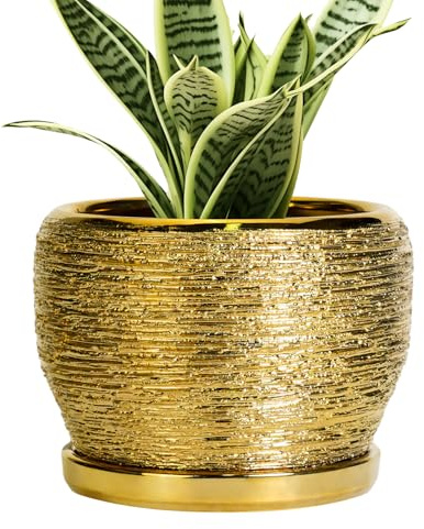 SQOWL Ceramic Planter - 6 Inch Plant Pot Indoor Outdoor, Modern Round Planter with Drainage Hole and Plant Saucer, Decorative Small Flower Pot, Home Decor, Birthday Gifts, Gold