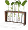 Kisangel Container bürodeko büro Dekoration blumenregal stieltopf verandina Reagenzglas-Pflanzenhalter Makramee Vase Links Tischterrarium Pflanzenterrarium Glas mit hohem Borosilikatgehalt