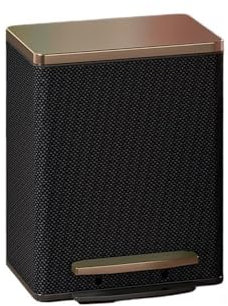 CHENGAIJIAN Poubelle, Poubelle en Acier Inoxydable élégante et Fonctionnelle avec Couvercle - Poubelle de Salon à pédale de Grande capacité Poubelle(Black,12L)