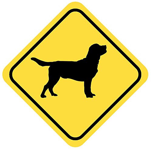 Samunshi® Labrador Retriever Warnschild Warndreieck Aufkleber Achtung Vorsicht Hund - 10x10cm mehrfarbig