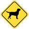 Samunshi® Labrador Retriever Warnschild Warndreieck Aufkleber Achtung Vorsicht Hund - 10x10cm mehrfarbig