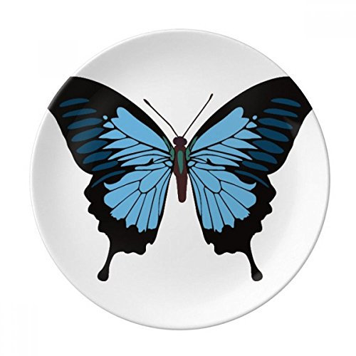 Butterfly Specimen in blu scuro decorativo in porcellana piatto da dessert 20,3 cm, home Gift