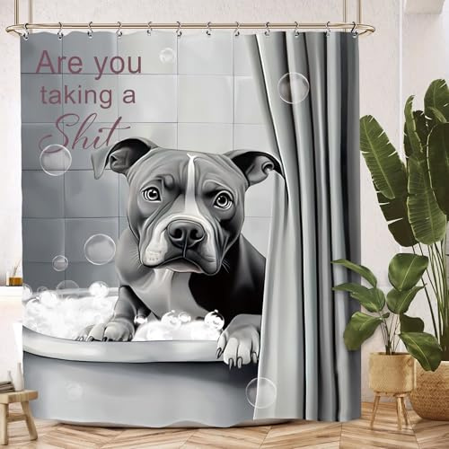 Kalmico Funny Dog Shower Curtain 60Wx72L Inch Bulldog Hilarious Pet Animal Interesting Cute Bathroom Set Accessories Decor with 12 Pack Hooks