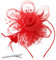GWAWG Bandeau à Plumes Artificielles Vintage Années 1920, Serre-Tête Élégant pour Femmes, Accessoire Cheveux Rouge pour Mariage, Cocktail ou Fête, Décoration Rétro Style
