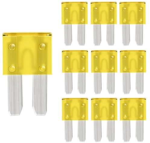 Gebildet Fusibles Micro2 Lames 20A pour Camping-Car, Auto, Moto, Camion (Lot de 10 Pièces)