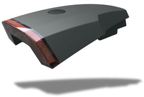 SKS GERMANY ROWDY REARLIGHT Rücklicht, StVZO-konform | Für ROWDY Hinterrad-Schutzblech, werkzeuglose Befestigung, Sicherungsschraube gegen Diebstahl, wiederaufladbarer Akku USB-C