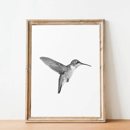 Schwarz Und Weiß Kolibri Vogel Poster Drucken Minimalistischen Wand Kunst Bild Leinwand Malerei Home Decor 21X30Cm Kein Rahmen