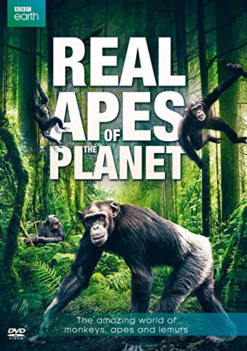Real Apes of the Planet [DVD-AUDIO]