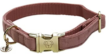 Kentucky - Hunde Halsband velvet old rose XXS 18-26cm
