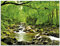 ARTland Wanddeko Glasbilder Wandbild Glas Bild einteilig 80x60 cm Querformat Natur Landschaft Wald Fluss Wasserfall Felsen Steine Bach T1YH