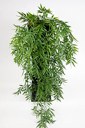 Seidenblumen Roß Bambusranke 80cm JA Kunstpflanzen künstliche Pflanzen Ranken Bambus