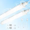 BrightFly Lámpara LED resistente a la humedad, 15W, 0,6m barra de luz LED, 2 unidades de luz blanca fría súper brillante 6500K, con enchufe europeo, ideal para garaje, sótano, taller, almacén y baño.