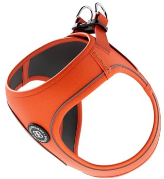 BullyBillows Step-In Hundegeschirr mit Griff | Geschirr für kleine Hunde/Welpen mit Polsterung & stark reflektierendem Hundegeschirr | Orange | Mittel