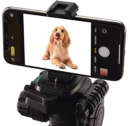 CULLMANN - 41142 - CROSS CX142 Smartphonehalter mit Zubehörschuh (universell nutzbar) - Breite flexibel einstellbar von 63 -105 mm
