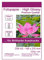 100 Blatt DIN A5-148x210 mm 230g/m² Fotopapier Hglossy wasserfest Photopapier hochglänzend high glossy wasserfest photopaper photo paper glänzend 230g / m² 230g/qm DIN A5-148 x 210 mm 14,8 x 21 cm