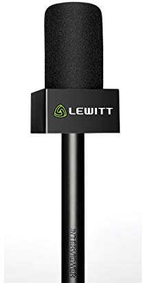 Lewitt INTERVIEWER
