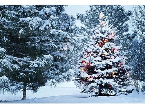 Ttincceer Winter Hintergrund 2,2x1,5m Winter Wald Schnee Landschaft Fotografie Hintergrund Weihnachten Natural Schneeland Xmas Tree Fotografie Hintergrund Neujahr Studio Portrait Photo Booth Prop