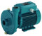 Pompe a eau Calpeda C22 0,55 kW à roue ouverte de 1,5 à 6,6 m3/h triphasé 380V
