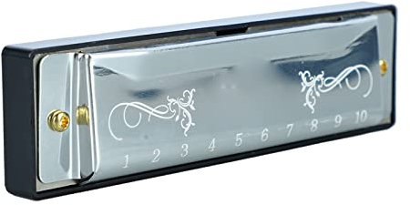 Mundharmonika, professionelle Standard 10 Loch Mundharmonika mit 20 Melodien für Kinder, Anfänger, Musikunterricht und Freizeitaktivität (Silber)