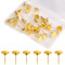 30st Gold Reißzwecken Metall, Wand Nadeln zum Aufhängen von Bildern Kleine Wandnägel Dekorativ Push Pins für Korktafeln Bulletinkarten Poster Home Office Displays