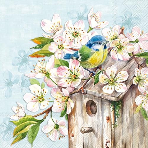 20 Servietten Tiermotive Kirschblüten an Vogelhaus als Tischdeko. Papierservietten mit Motiv. Auch für Decoupage und Serviettentechnik 33x33cm