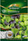 BALDUR Garten Basilikum 'Trio',1 Portion