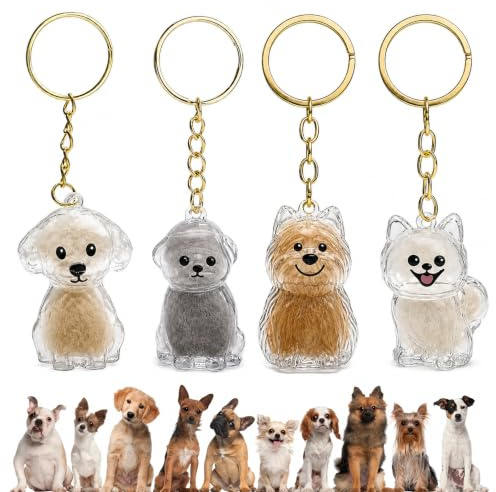 ZhouWei 4 Pièces Transparent Porte clés en Fourrure pour Animaux Compagnie | Capsule de Rangement des Poils de Chien Porte clés Souvenirs en Fourrure de Chien pour Amoureux des Animaux Cadeau