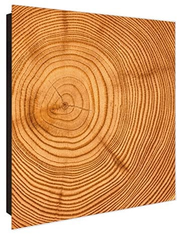 banjado® Großer Schlüsselkasten Glas/Schlüsselbox 30cm x 30cm mit 50 Haken - Motiv Baumstamm/Schlüsselkasten modern für Schlüsselaufbewahrung mit beschreibbarer, magnetischer Glastür