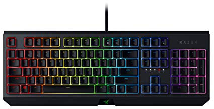 Razer BlackWidow Mechanical Gaming Keyboard: Green Mechanical Switches, Tactile & Clicky, Chroma RGB Lighting, Anti-Ghosting, Programmable Macro Functionality