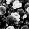 SOEWIOU Floral Peel and Stick Wallpaper,600 * 44.5cm Black/White Vintage Wallpaper Decorative Self-Adhesive Contact Paper for Living Room Bedroom Washroom Cabinet Wall