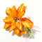 Pince à cheveux bohème pour femme, fleurs tropicales, accessoires de cheveux de mariée, barrettes antidérapantes pour mariage, plage, fête, usage quotidien (orange)