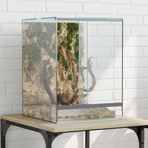ChicAbode Terrarium mit Speicher 30 x 30 x 40 cm Glas