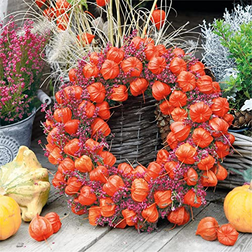 Einweg-Papierservietten, Chinesische Laternen Wreath, 20 Stück 3-lagig, 33 x 33 cm
