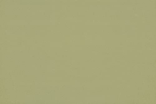 Hey-Sign Edelstahlschale incl. Filzuntersetzer in vielen Farben, Farbe:48 - Pistazie