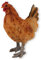 colourliving Gartendeko Huhn Figur Deko Hühner Deko Hennen Bauernhof Tiere Hühner Figuren (Braun)