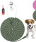 Codepets Leichte Nylon-Trainingsleine, 3 m x 0,6 cm, Grün mit bequemem Silikongriff, hochreflektierend, kein Verheddern, für Hunde, Katzen, Spaziergänge, Camping, Hinterhof.